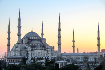 Fototapeta na wymiar The Blue Mosque in Istanbul, Turkey
