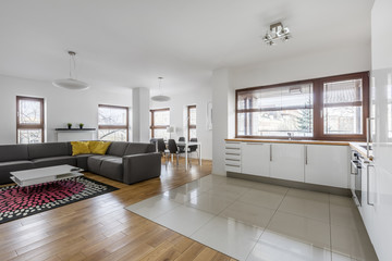 Living room with kitchenette