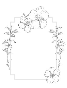 Hibiscus Invitation Border