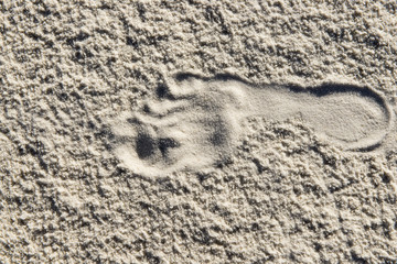 Fototapeta na wymiar Single footprint in the sand