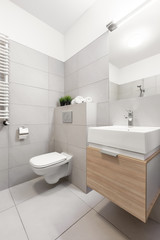 Fototapeta na wymiar Bathroom with toilet and basin
