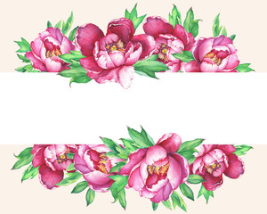 Banner with flowering pink peonies, isolated on  peach background. Watercolor hand drawn painting illustration.