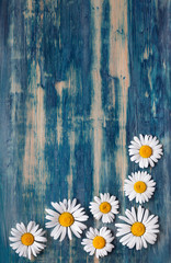 Obraz premium Background of daisies on an old wood board