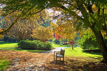 Bench in Park