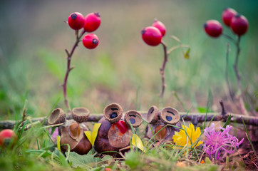 owl figure made of chestnut
