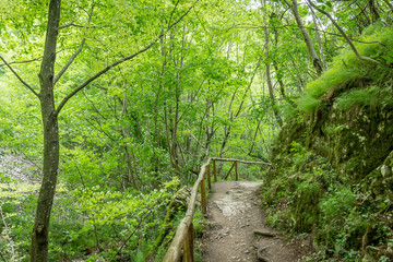 Obraz premium Landscape