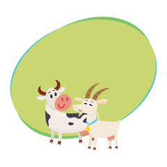 Farm black spotted cow looking at white smiling goat, cartoon vector illustration with space for text. Cute and funny farm goat and cow with friendly faces and big eyes