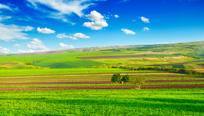 beautiful rural landscape