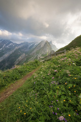 Schläfer Alpstein