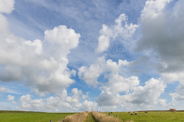 Naklejka premium Path Texel Clouds