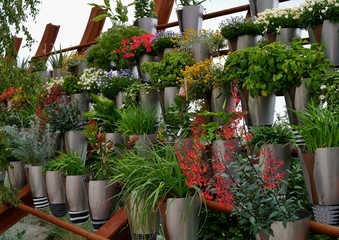 Blumentöpfe im Gestell