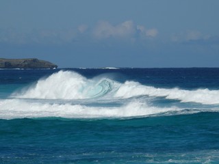 Fototapeta premium Big Wave Hanson Bay Kangaroo Islands South Australia
