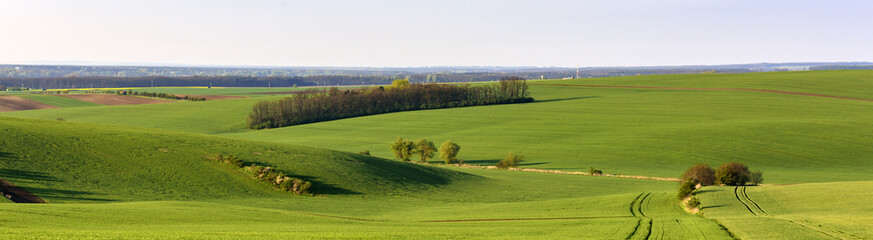 Fototapeta na wymiar Panoramic view of Moravian fields