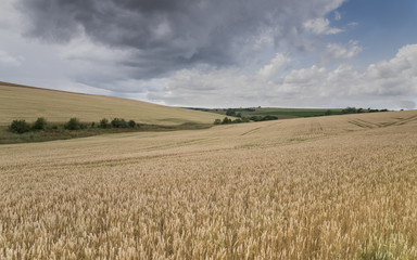 paysage agricole sous ciel nuageux