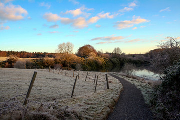 A frosty forest park 
