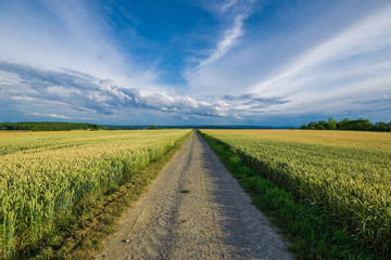 The streets in the Fields