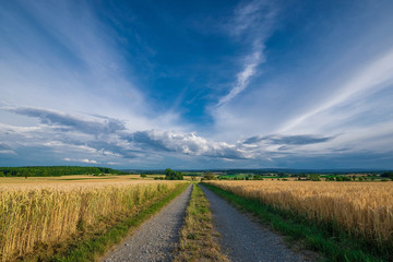 The streets in the Fields