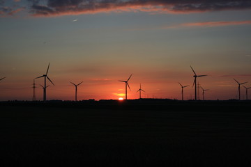 Fototapeta premium Sunset evening