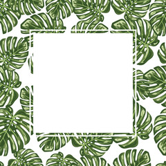 Fototapeta premium Monstera leaf seamless pattern background