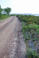 Beautiful coastal country road