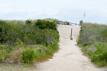 Sand dunes along the New Jersey shore in Wildwood