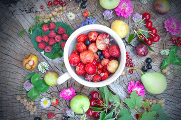 Various fresh summer fruits and flower. Fruits background. Top view
