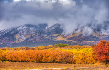 Naklejka na ściany i meble Colorado mountain fall foliage