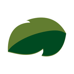 Leaf ecology symbol