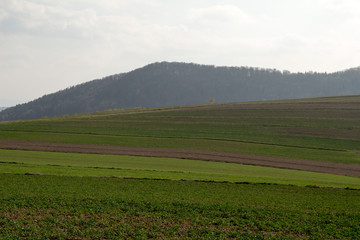 A spring landscape on the hills