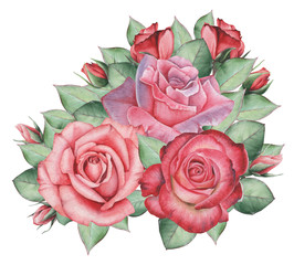 Hand painted watercolor charming combination of Flowers and Leaves, isolated on white background