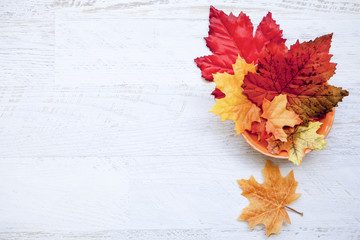 Naklejka na ściany i meble Autumn Thanksgiving Background with Copy Space