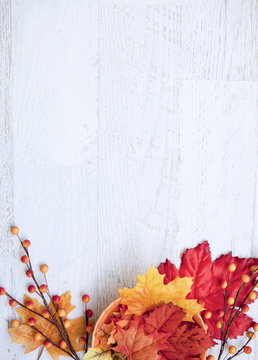 Autumn Thanksgiving Background with Copy Space