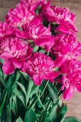 Row of peonies on wooden background with space for message. Women's or Mother's Day background. Top view