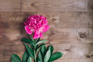 Fototapeta na wymiar Row of peonies on wooden background with space for message. Women's or Mother's Day background. Top view