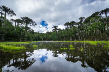 Laguna Los Patos in Huerquehue National Park