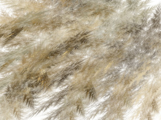 Abstract fractal brown color texture transparent white background dry grass hay illustration