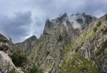Fototapeta na wymiar Beautiful landscape of the mountains in Picos de Europa in Spain; hiking trail in foggy and cloudy summer day