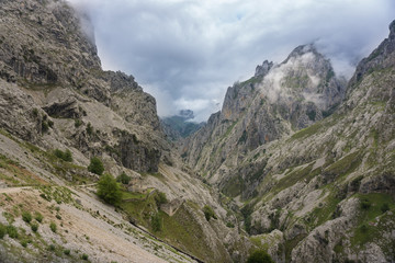 Fototapeta na wymiar Beautiful landscape of the mountains in Picos de Europa in Spain; hiking trail in foggy and cloudy summer day