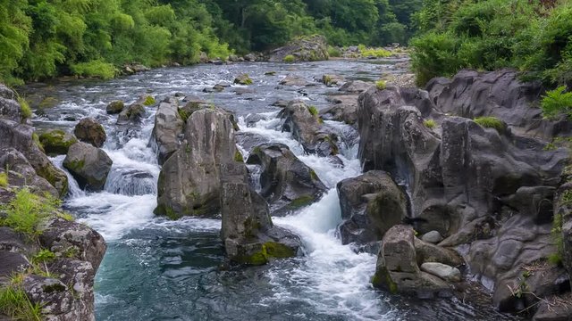 中津無礼川