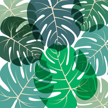 Palm leaves pattern Vector illustration Green summer tropical background with translucent large exotic palm leaves on white background Trendy floral pattern