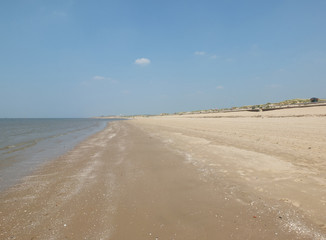 Fototapeta na wymiar crosby beach near liverpool in summer
