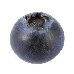 One blueberry isolated on white background. Macro photography with natural colors. Clipping path.