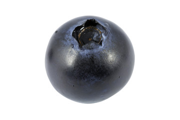 Blueberry with waterdrops  isolated on white background. Macro photography with natural colors. Clipping path.