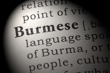 definition of Burmese