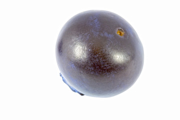 One blueberry isolated on white background. Macro photography with natural colors. Clipping path.
