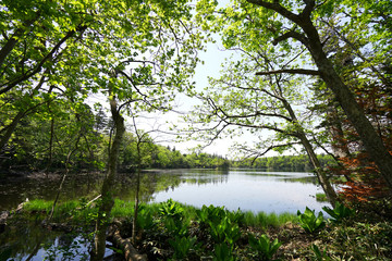 Shiretoko lake