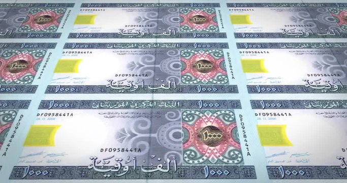 Banknotes of one thousand mauritanian ouguiya of Mauritania, cash money, loop