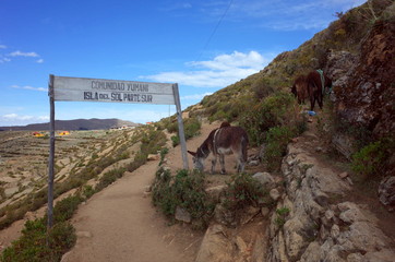 A hiking trail through the Isla Del Sol on Lake Titicaca