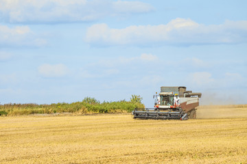 Combine harvester in the field