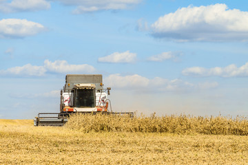 Obraz premium Harvester harvesting works in the field on a sunny day